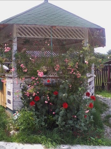 Vila cu 13 camere de vanzare in Valcea, Voineasa