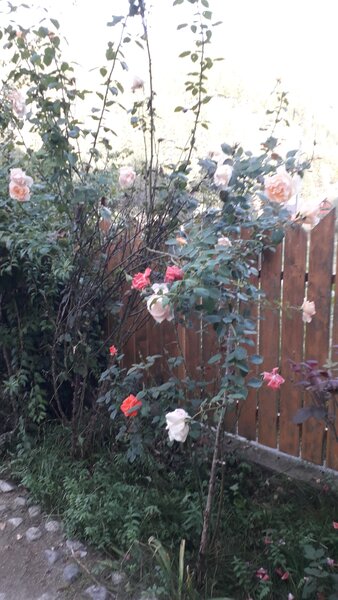 Vila cu 13 camere de vanzare in Valcea, Voineasa