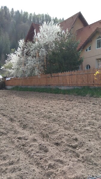 Vila cu 13 camere de vanzare in Valcea, Voineasa