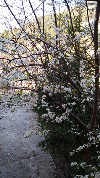 Vila cu 13 camere de vanzare in Valcea, Voineasa