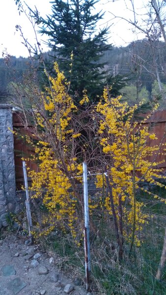 Vila cu 13 camere de vanzare in Valcea, Voineasa