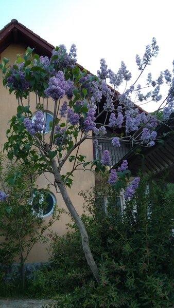 Vila cu 13 camere de vanzare in Valcea, Voineasa