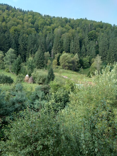 Vila cu 13 camere de vanzare in Valcea, Voineasa
